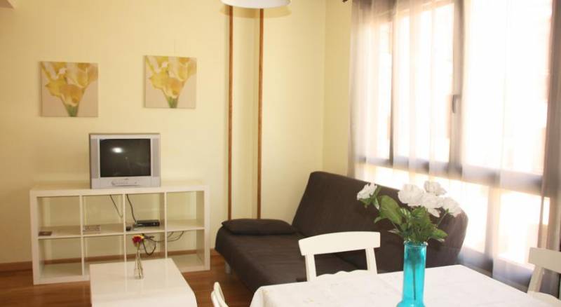 Apartamentos Rodriguez de Córdoba 3000