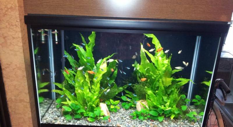 Ginza Capital Hotel Annex