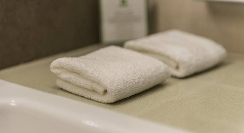 Holiday Inn Kiev