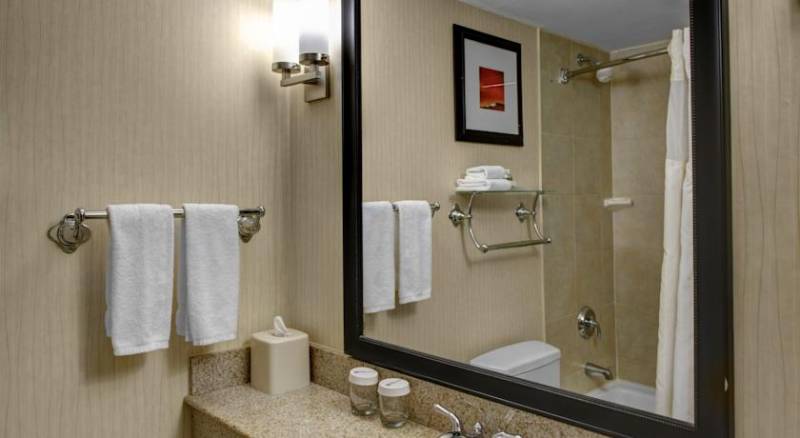 Hilton Garden Inn New York Manhattan-Chelsea