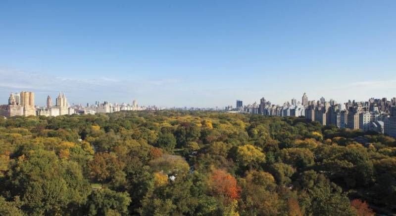 The Ritz-Carlton New York, Central Park