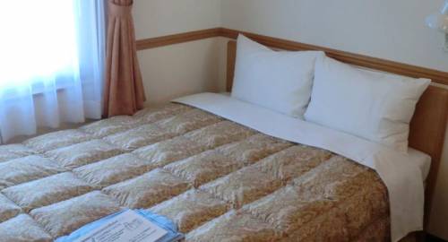 Toyoko Inn Tokyo Shinagawa-eki Konan-guchi Tennozu