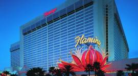 Flamingo Las Vegas Hotel & Casino