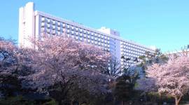 Grand Prince Hotel New Takanawa