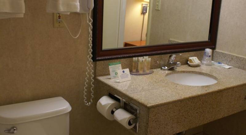 Best Western Royal Palace Inn & Suites