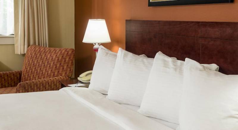 Best Western University Hotel Boston