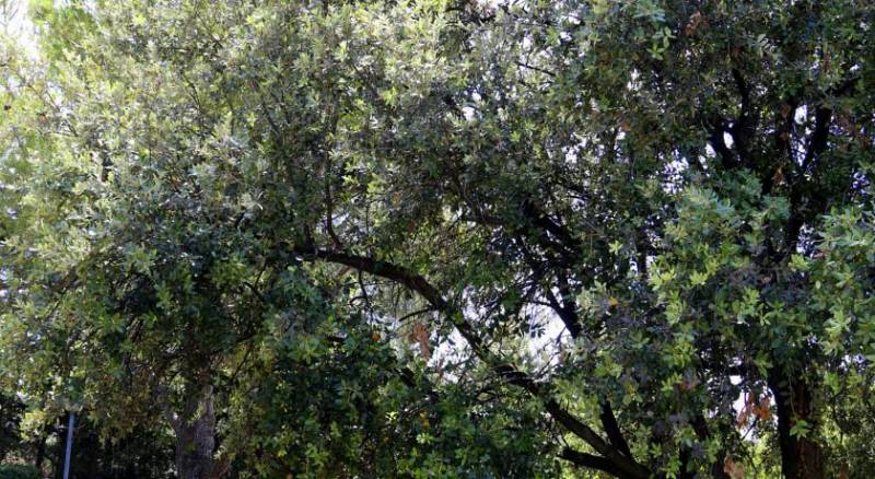 Campanile Aix en Provence Ouest Jas-De-Bouffan