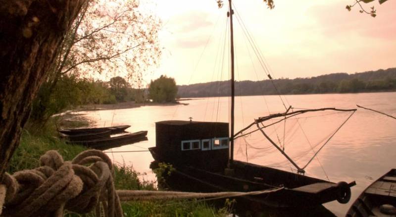 Ibis Amboise