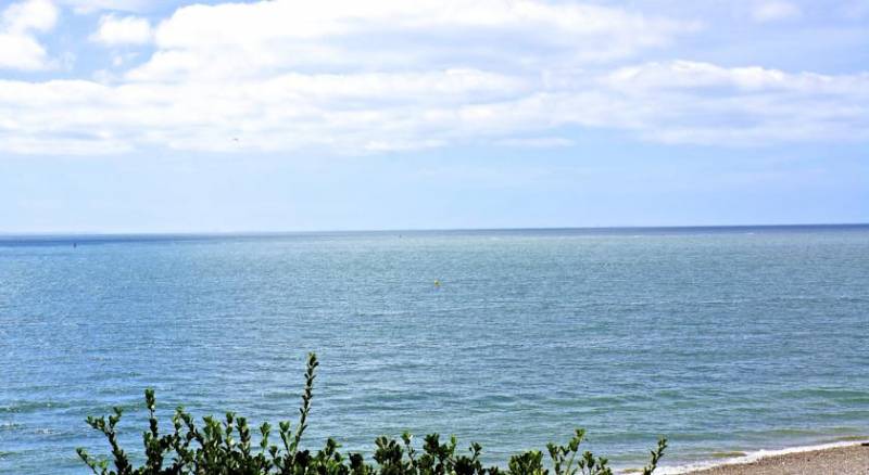 Les Voiles Sur Le Front De Mer