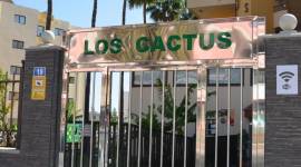 Los Cactus