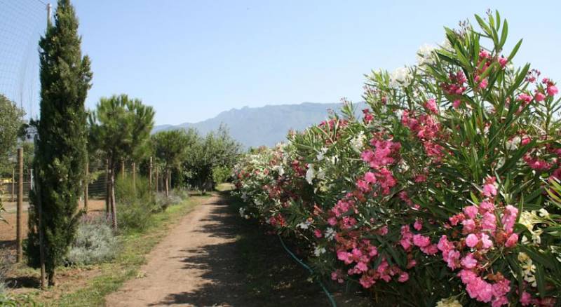 Azienda Agrituristica Vivi Natura