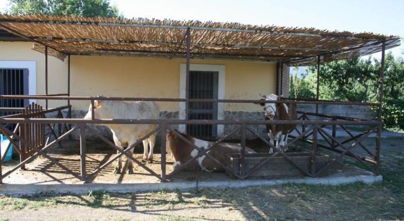 Azienda Agrituristica Vivi Natura