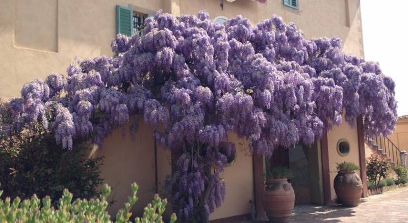 Hotel Palazzo di Valli