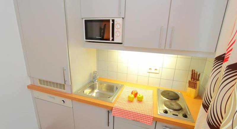 CheckVienna - Apartment Rentals Vienna