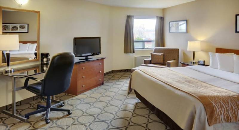 Comfort Inn Airport East