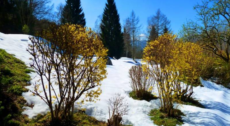 Romantikhotel Die Gersberg Alm