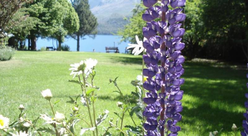 Lago Gutierrez Lodge