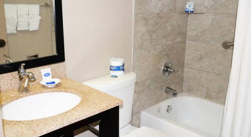 Best Western PLUS Dallas Hotel & Conference Center