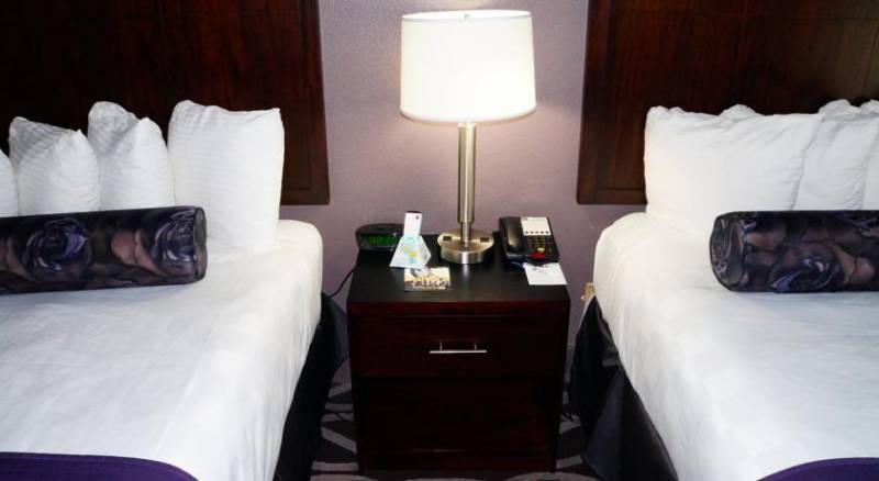 Best Western PLUS Dallas Hotel & Conference Center