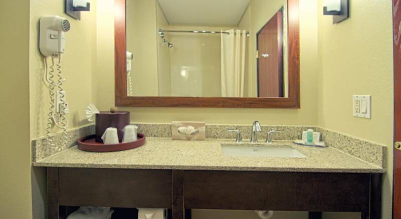 Comfort Inn & Suites Love Field – Dallas Market Center