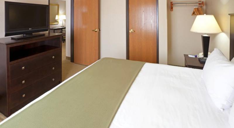 Holiday Inn Express Hotel and Suites Fort Worth/I-20