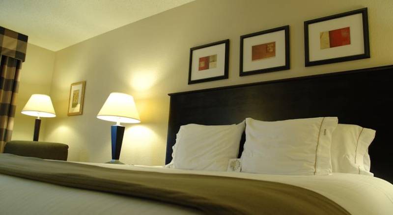 Holiday Inn Express Hotel and Suites Fort Worth/I-20