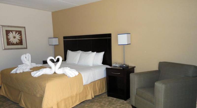 Clarion Inn & Suites At International Drive