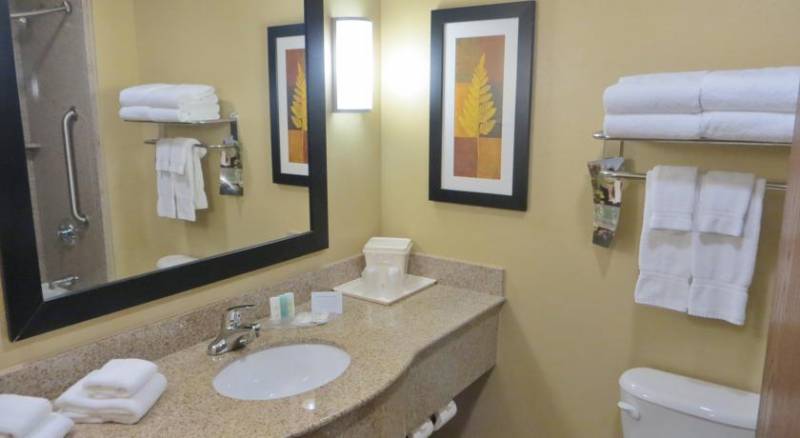 Comfort Suites Orlando Airport