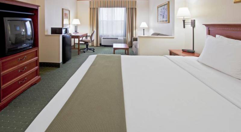 Holiday Inn Express & Suites Orlando International Airport