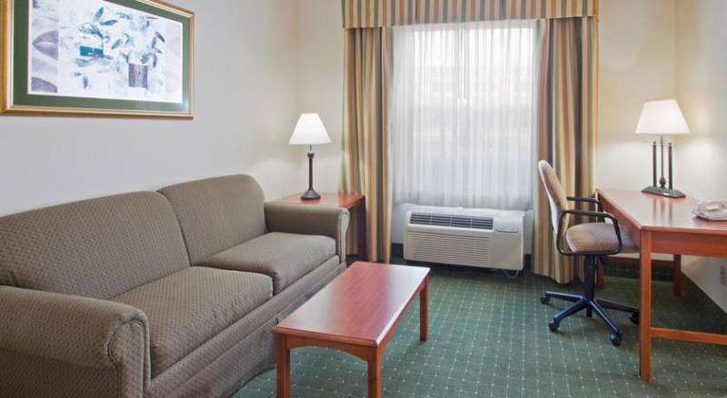 Holiday Inn Express & Suites Orlando International Airport