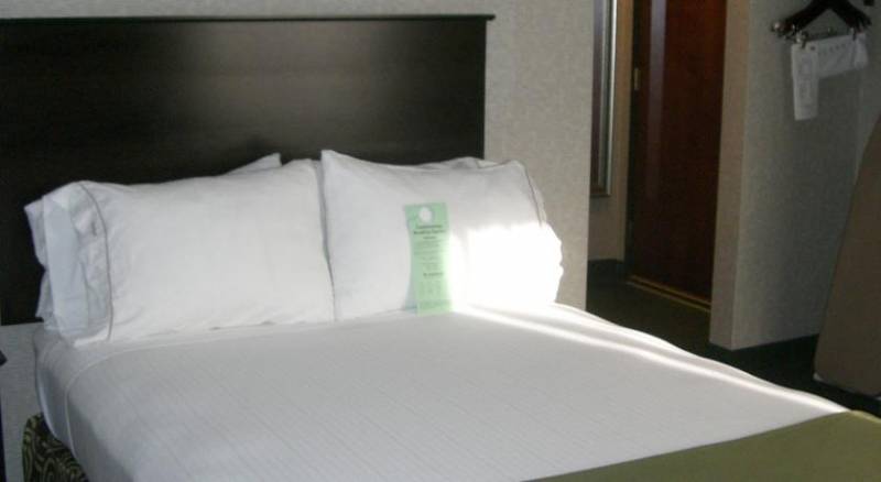 Holiday Inn Express Hotel & Suites Minneapolis-Downtown Convention Center