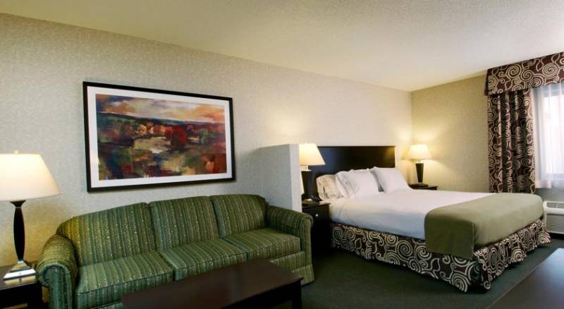 Holiday Inn Express Hotel & Suites Minneapolis-Downtown Convention Center