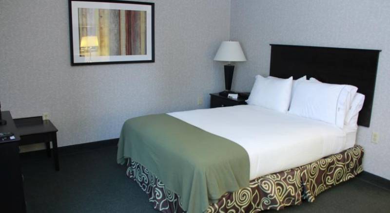 Holiday Inn Express Hotel & Suites Minneapolis-Downtown Convention Center