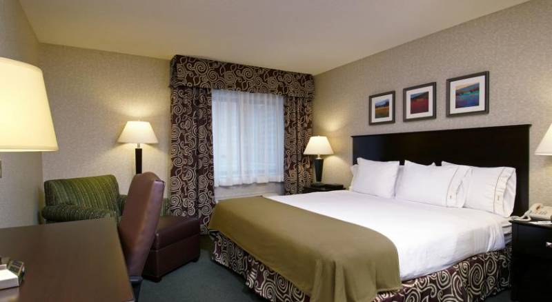 Holiday Inn Express Hotel & Suites Minneapolis-Downtown Convention Center