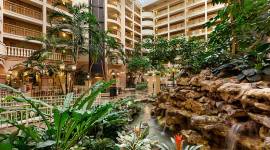 Embassy Suites by Hilton Orlando International Drive Convention Center