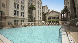 Homewood Suites by Hilton Orlando-Intl Drive/Convention Ctr