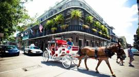 Hotel Royal New Orleans