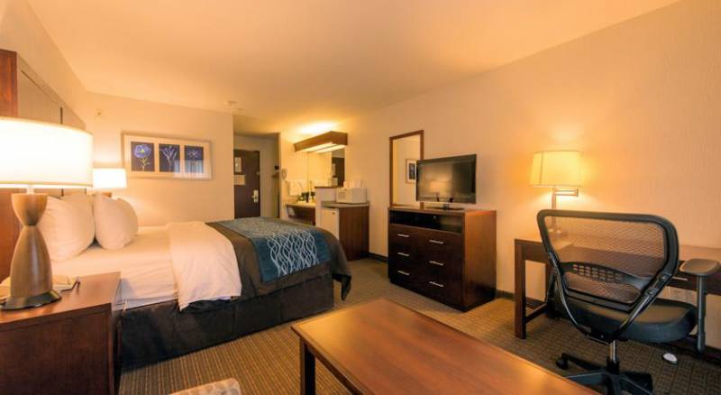 Comfort Inn & Suites-Portland Airport