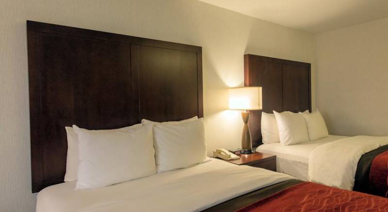 Comfort Inn & Suites-Portland Airport