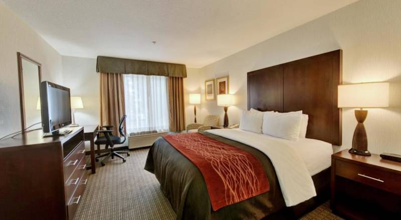 Comfort Inn & Suites-Portland Airport