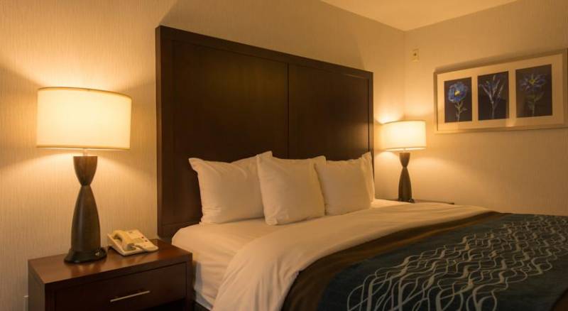 Comfort Inn & Suites-Portland Airport