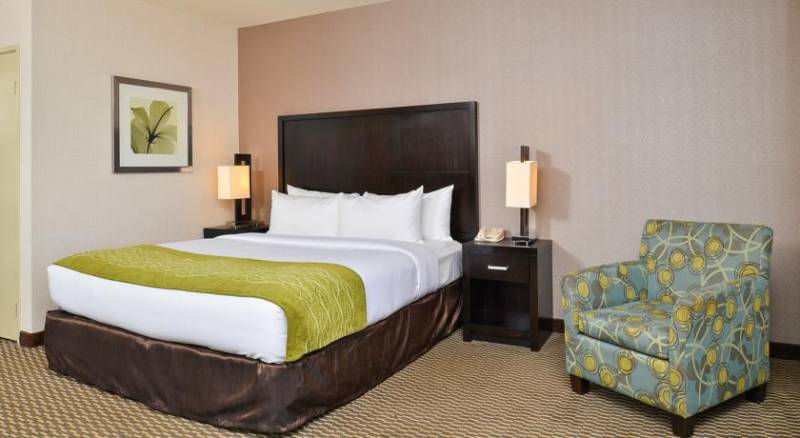 Comfort Inn & Suites Zoo SeaWorld Area