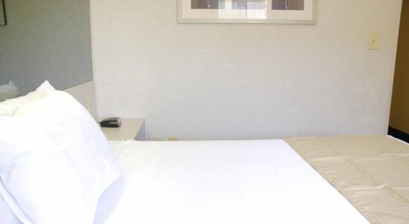 Microtel Inn & Suites by Wyndham Philadelphia Airport