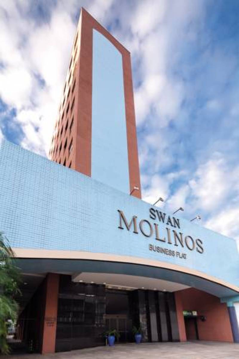 Swan Molinos Business