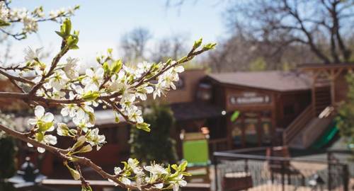 Hotel Little Texas