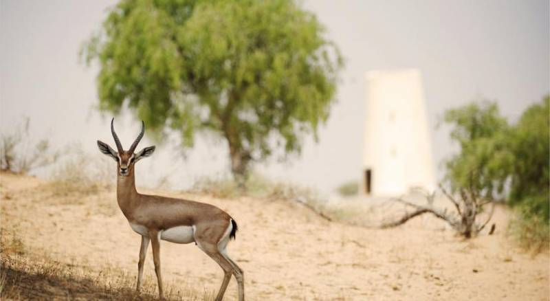 Banyan Tree Al Wadi