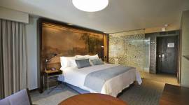 Hotel Cumbres Lastarria