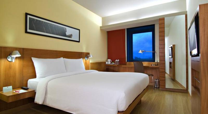 Ibis Pune