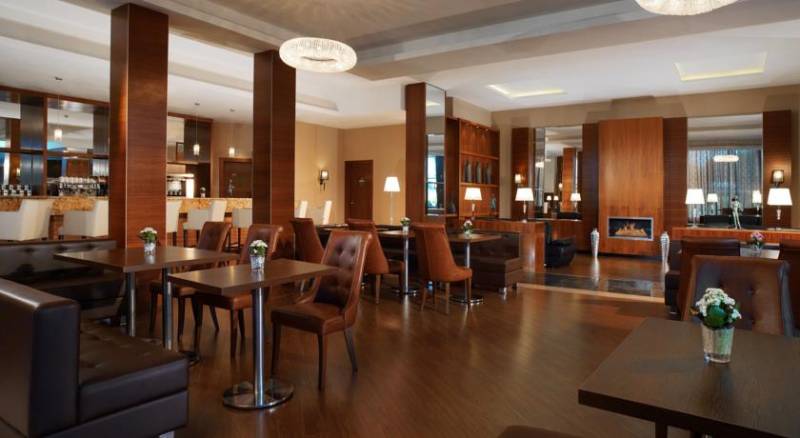 Sheraton Moscow Sheremetyevo Airport Hotel