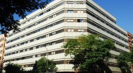 Apartamentos Goya 75